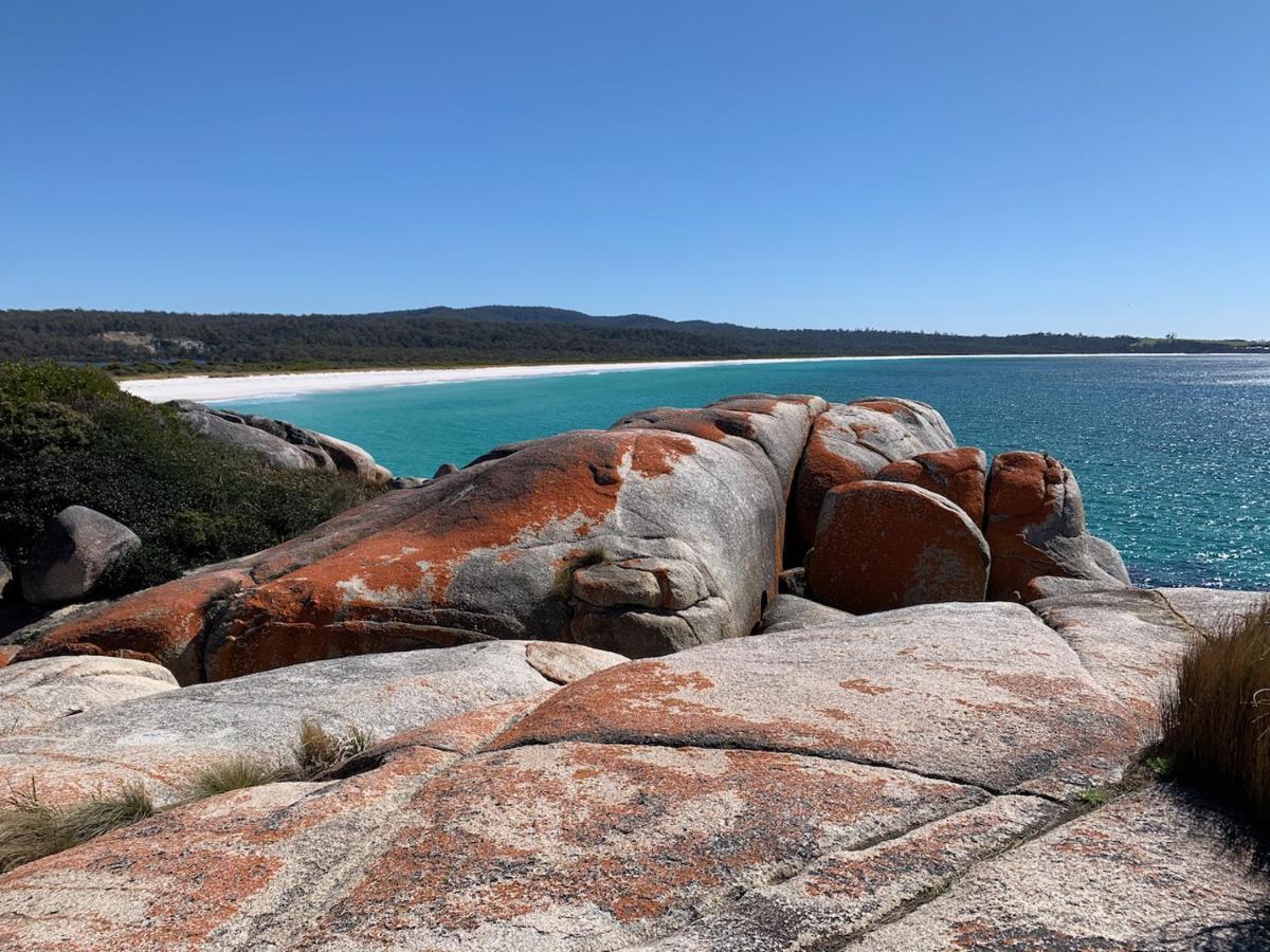 Willa Bay Of Fires Great Escape Binalong Bay Zewnętrze zdjęcie